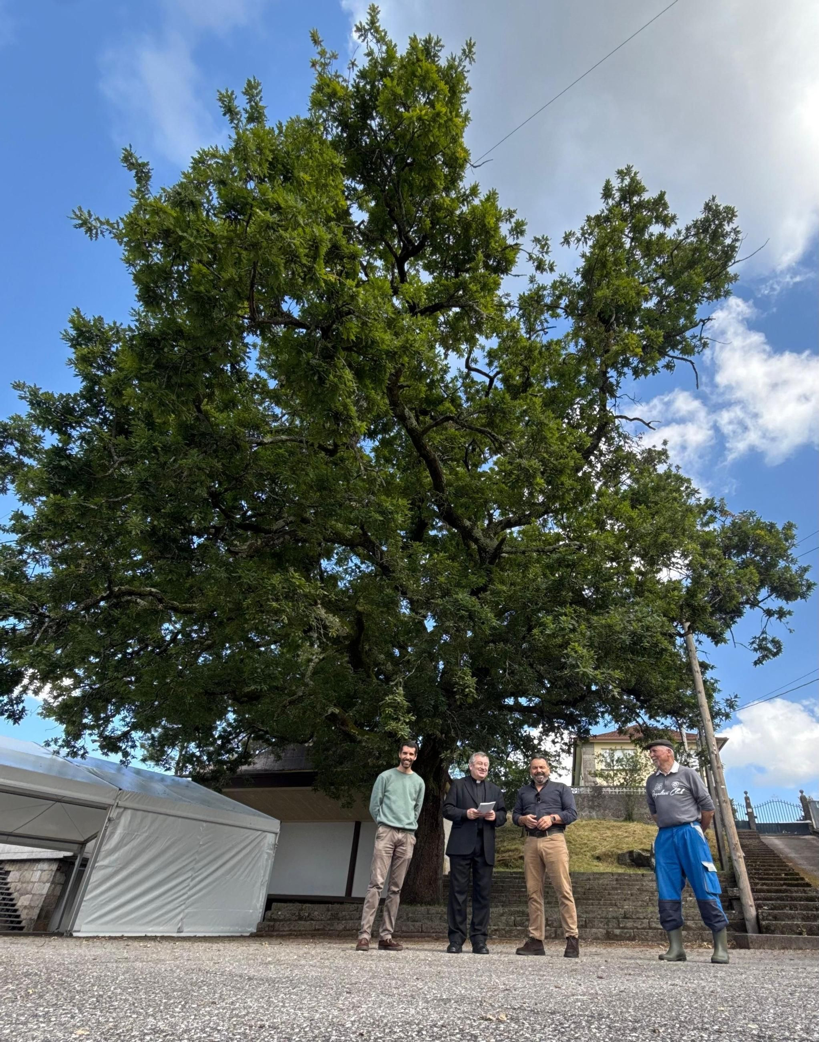 Paco Ferreira y el roble.