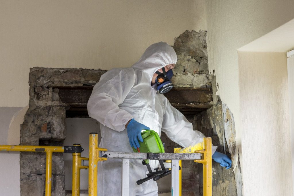 asbestos testing services